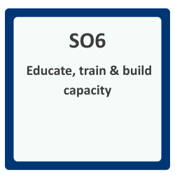 SO6