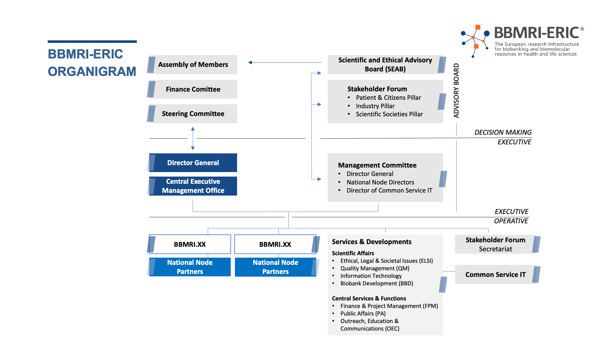 image showing the governance structure as described on the page