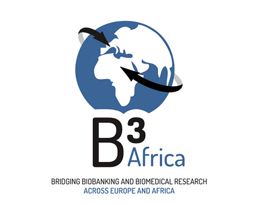 B3AFRICA