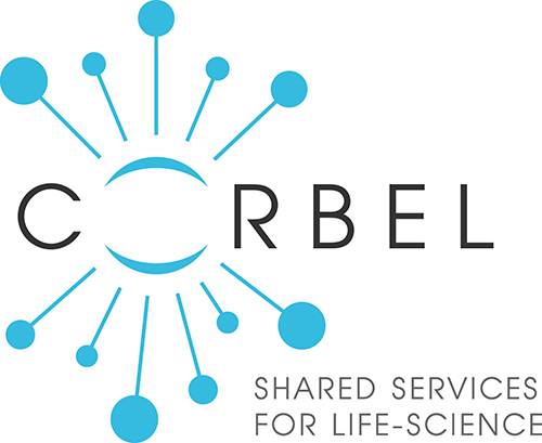 CORBEL