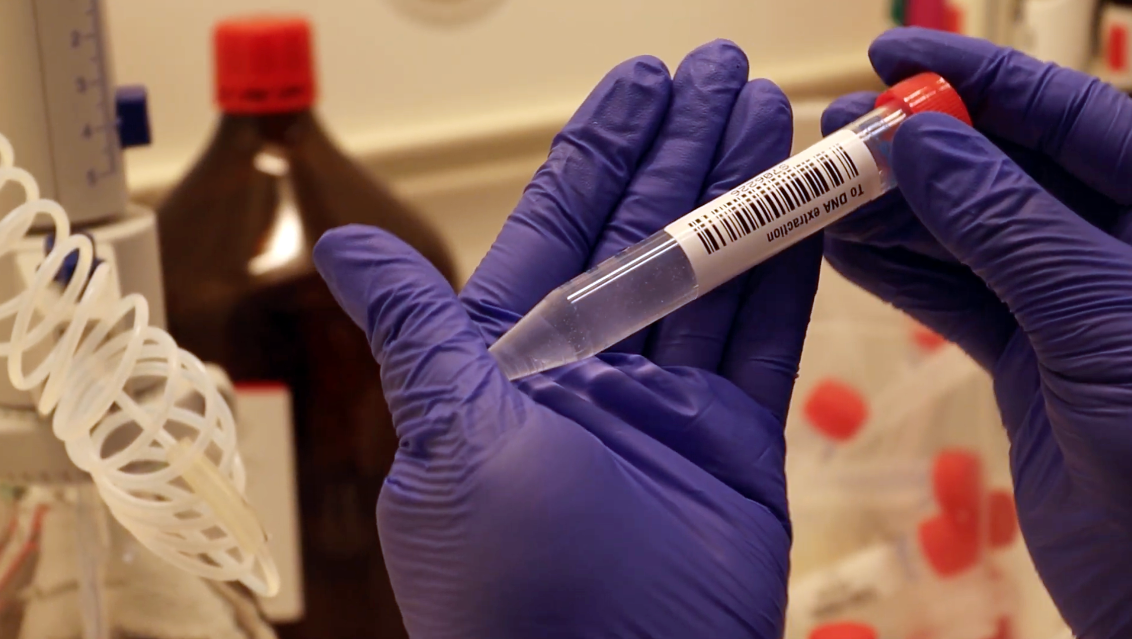 The picture of hands wearing blue gloves and holding samples.
