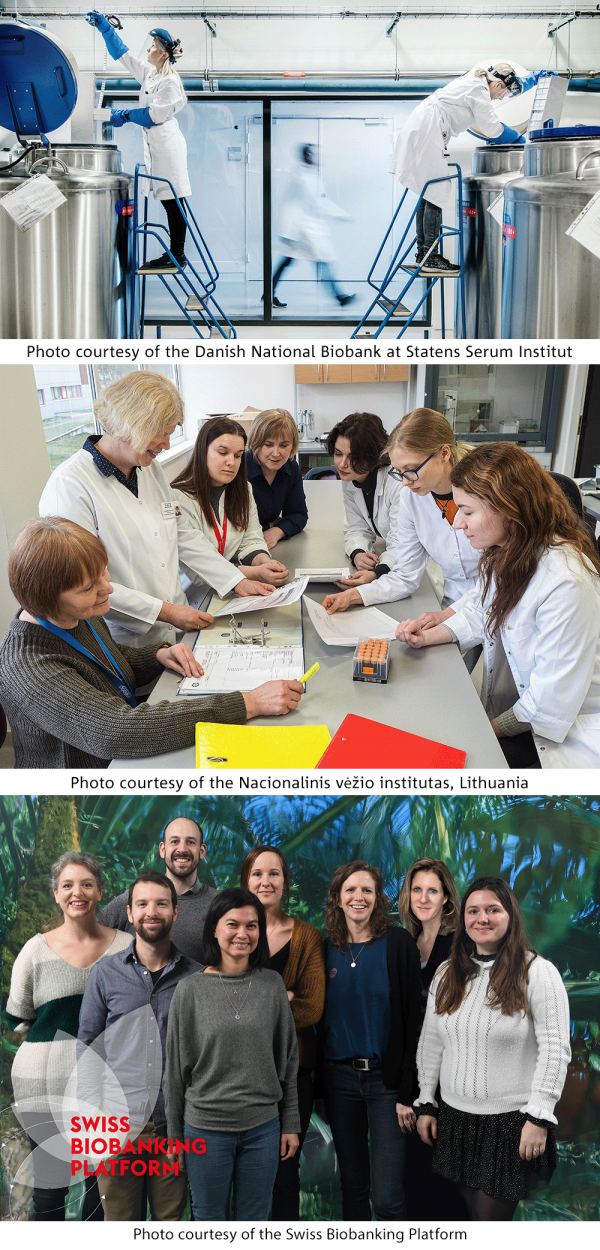 A tile of images showing biobanking activities and teams from the new member and observers